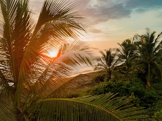 Sunset shining through palm trees on beach