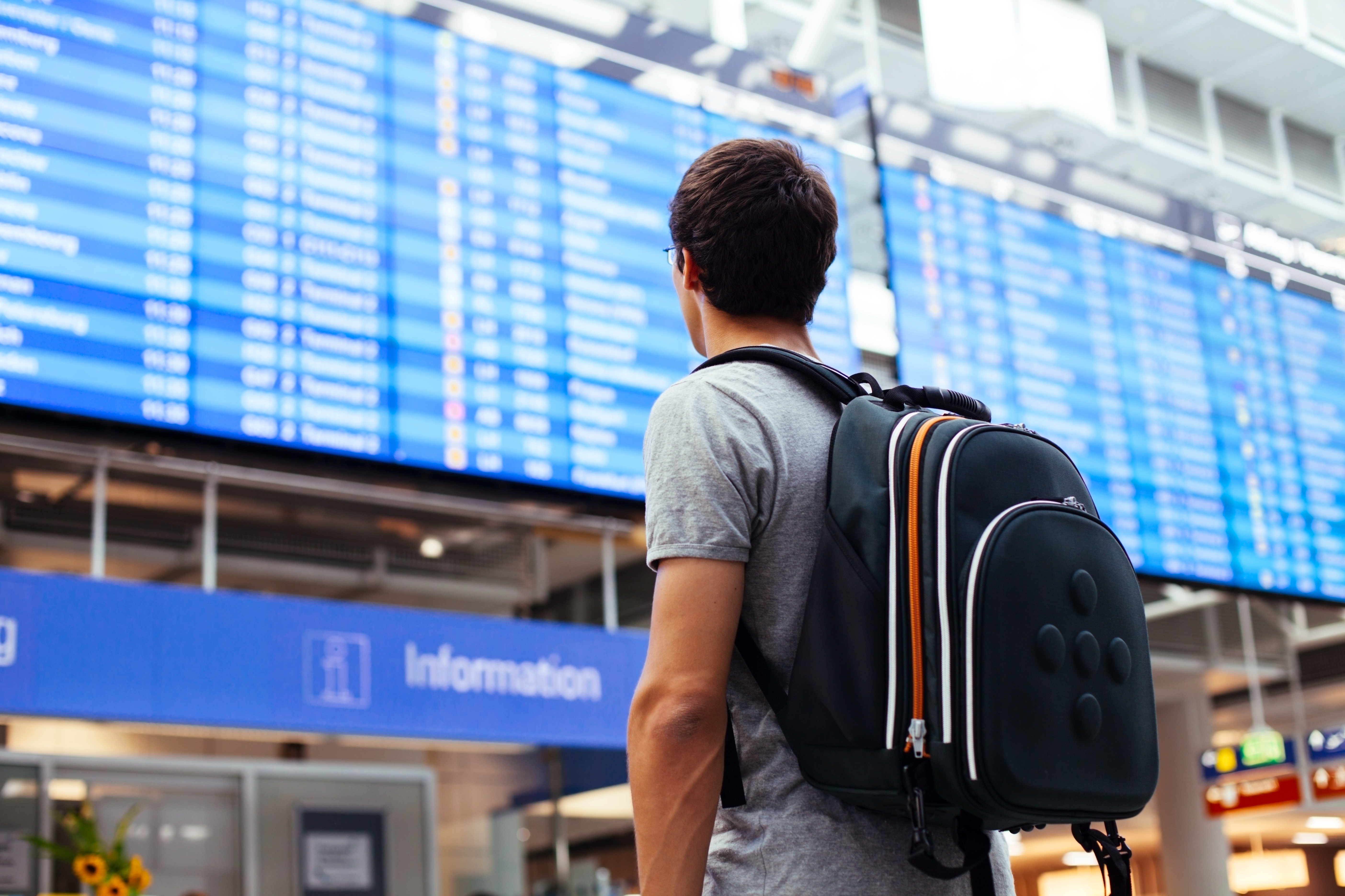 Student viewing flight departure schedule boards in airport