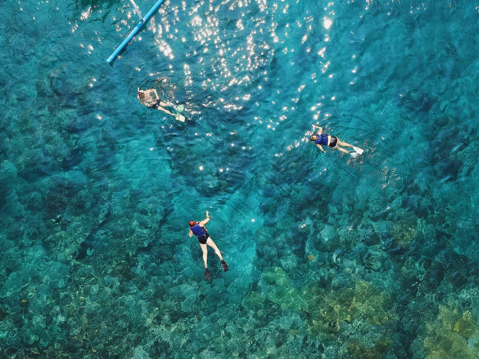 Three tourists swimming through clear waters