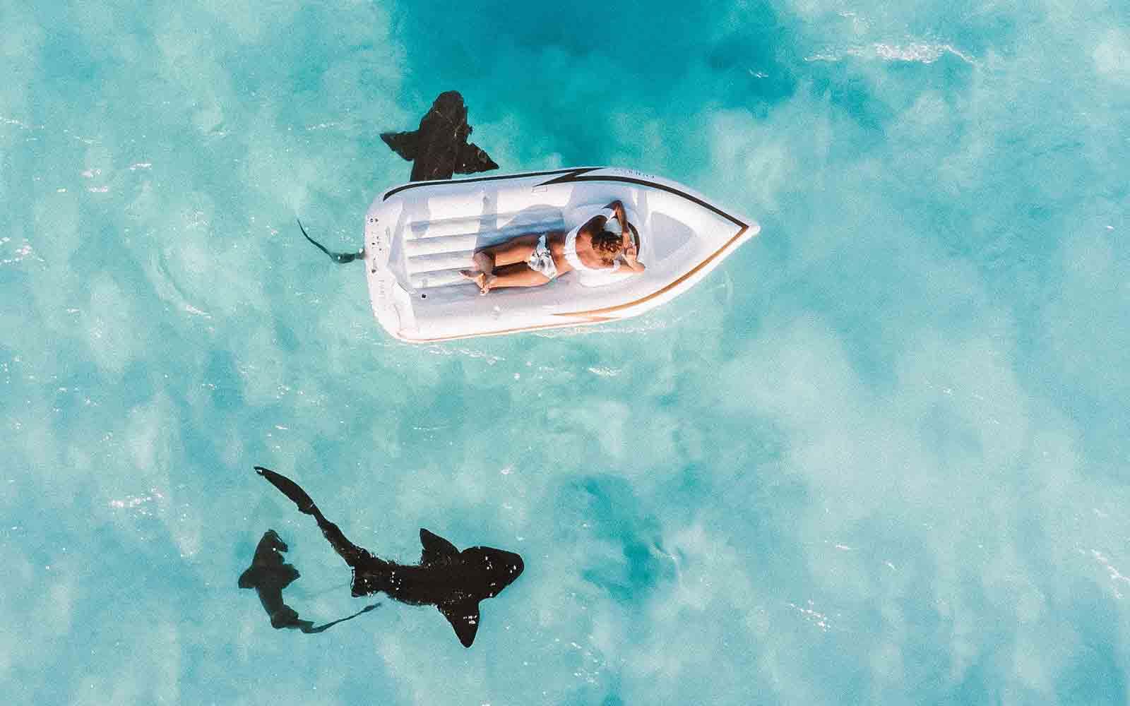 Woman laying on inflatable boat with sharks swiming beneath