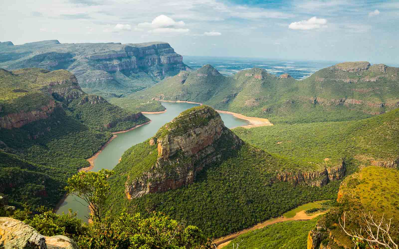 Green covered canyon with river