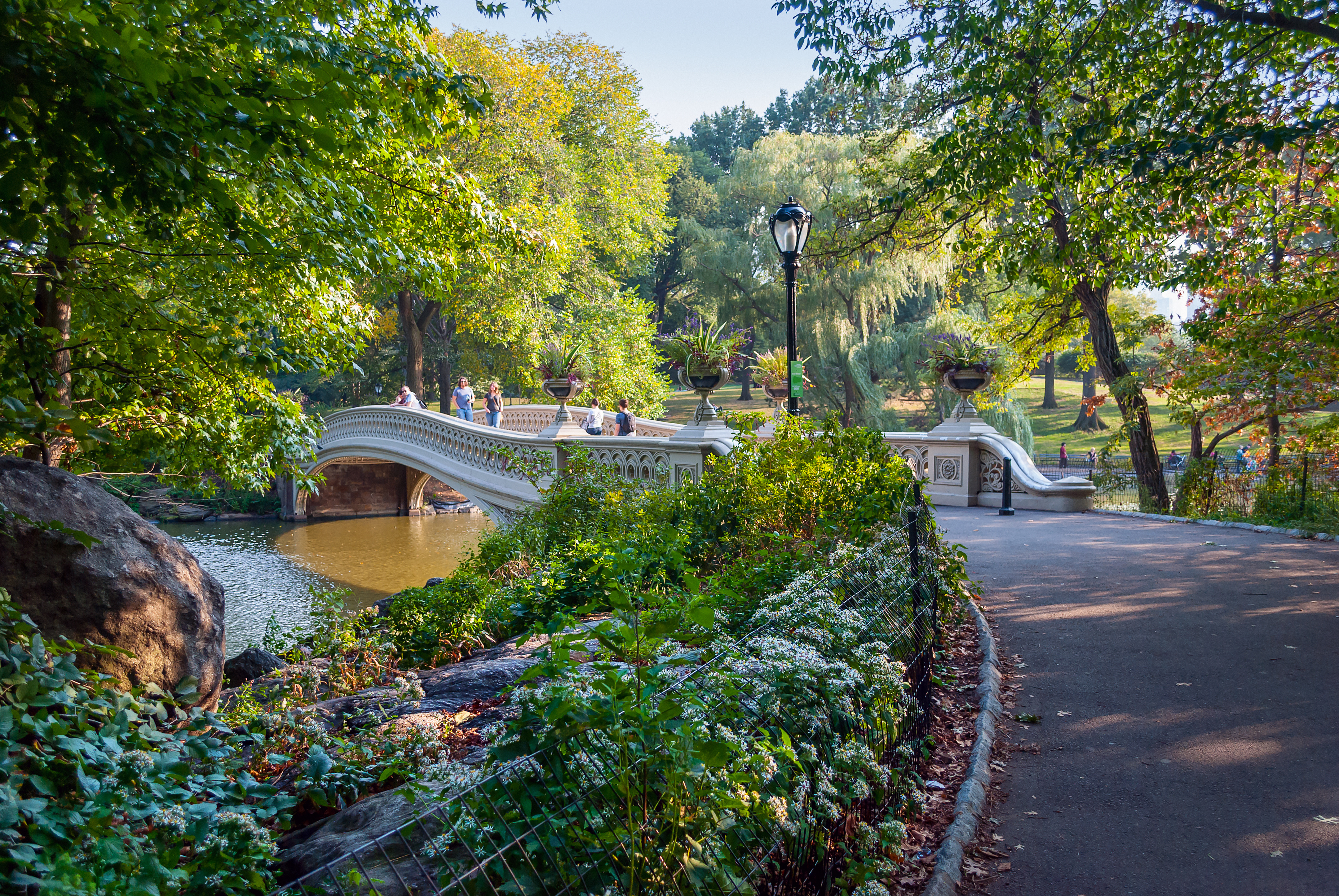 footbridge in Central Park