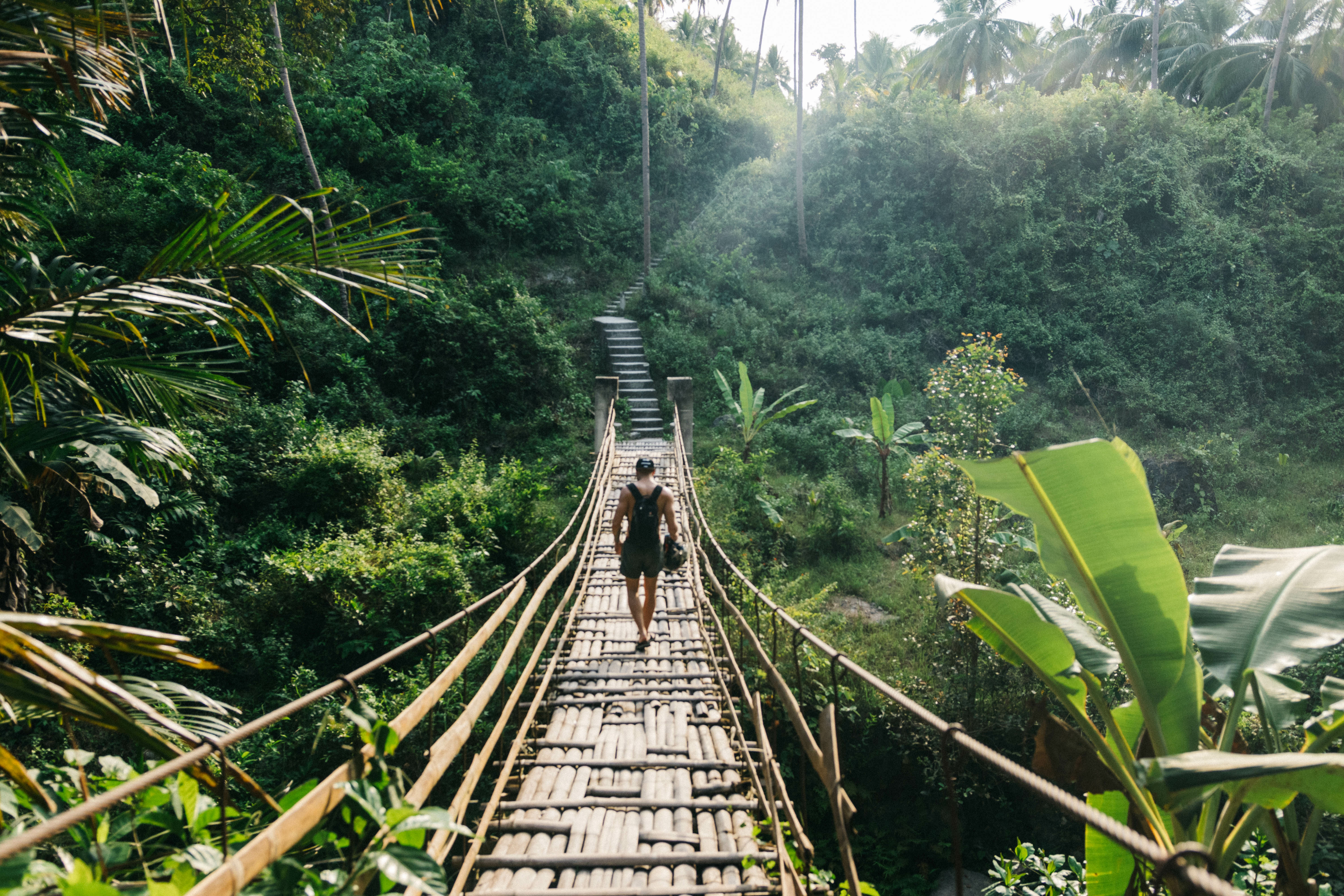 man walking on bridge through tropical forest in The Philippines