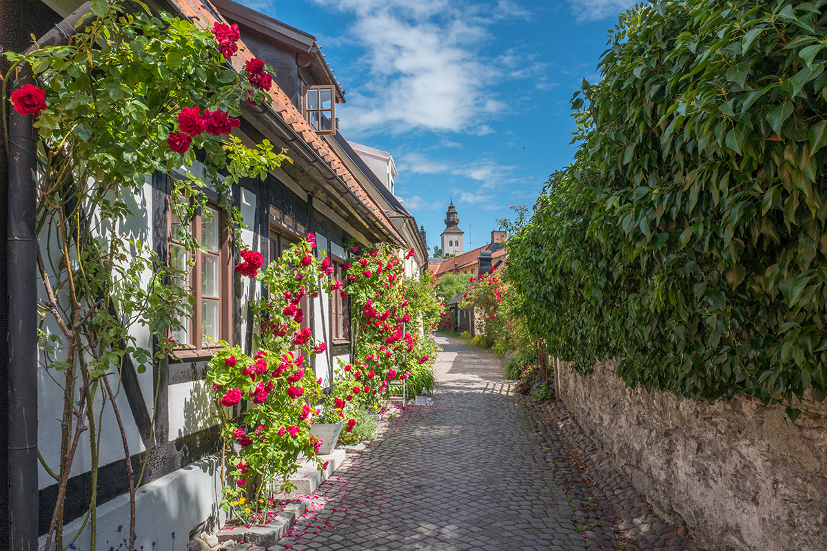Medieval alley in historic Hanse town Visby