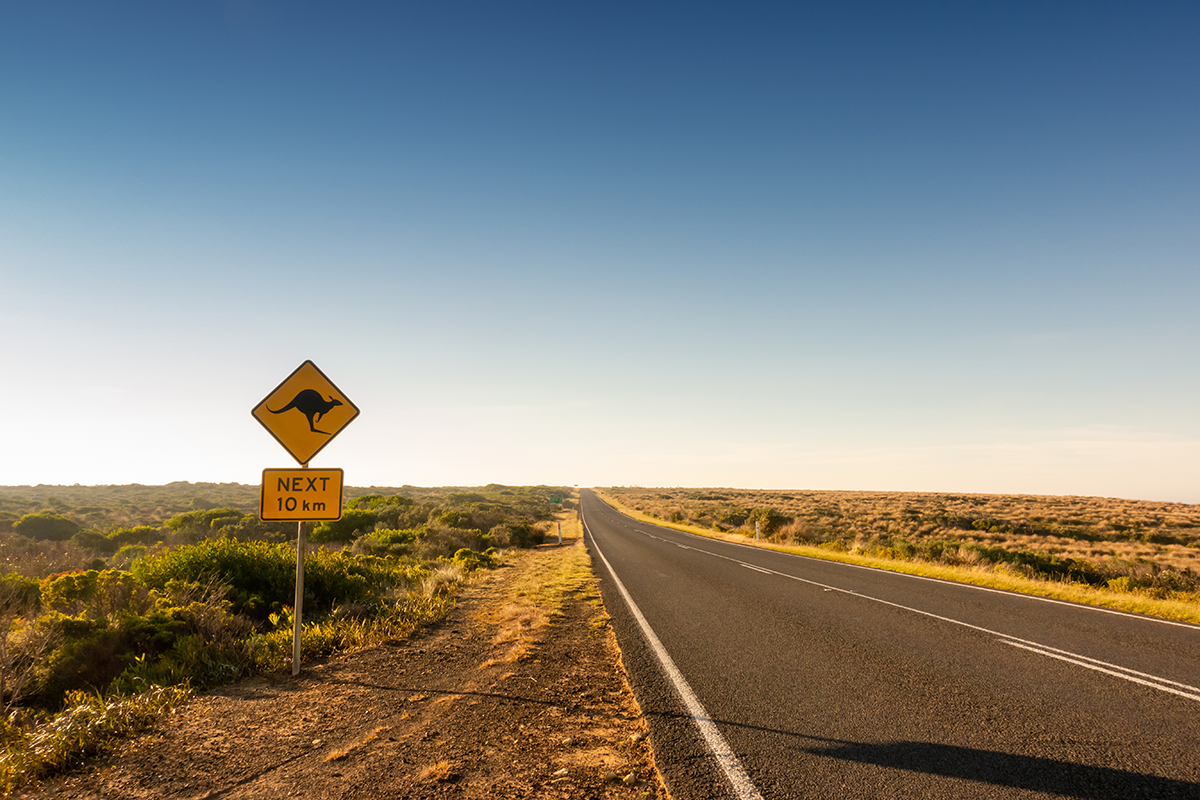 Kangaroo crossing sign next to road